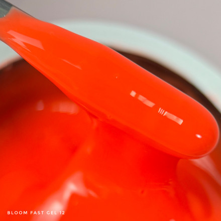 BLOOM   Gel FAST #12   15мл   Гель для моделирования
